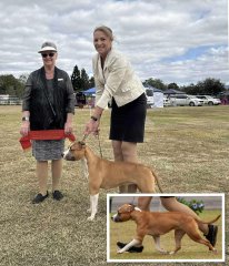 Kalbar Ag Show | Runner Up Best In Group | June 2025 | Judge: Di Janovanic Kalbar Ag Show | Runner Up Best In Group | June 2025 | Judge: Di Janovanic